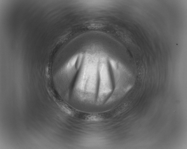 X0000068820755200605191833