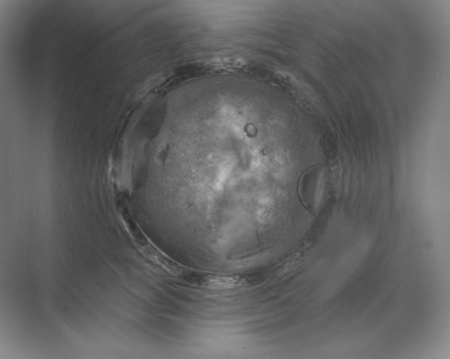 X0000068820757200605191833