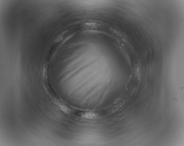 X0000068820759200605191833