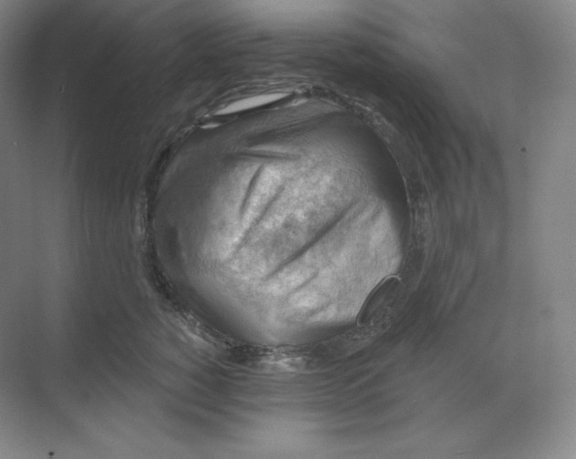 X0000068820760200605191833