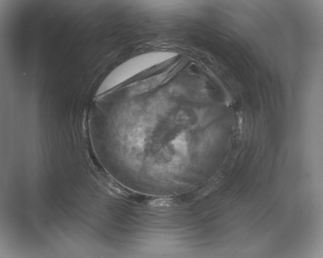 X0000068820761200605191833