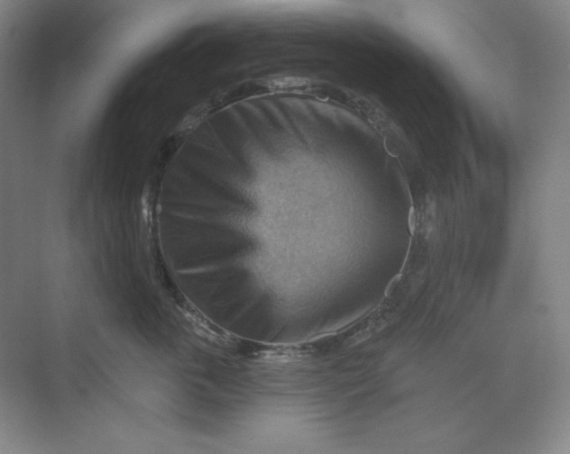 X0000068820763200605191833