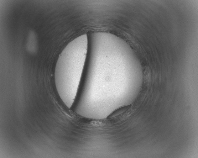 X0000068820764200605191833