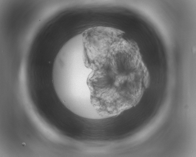 X0000068820765200605191833