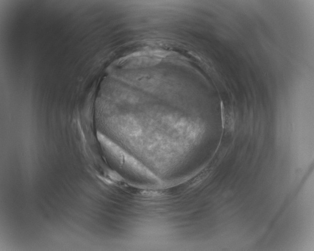 X0000068820766200605191833