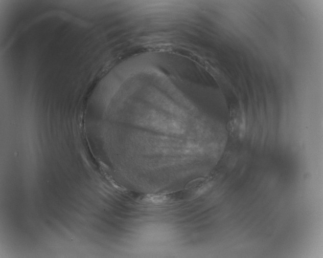 X0000068820767200605191833