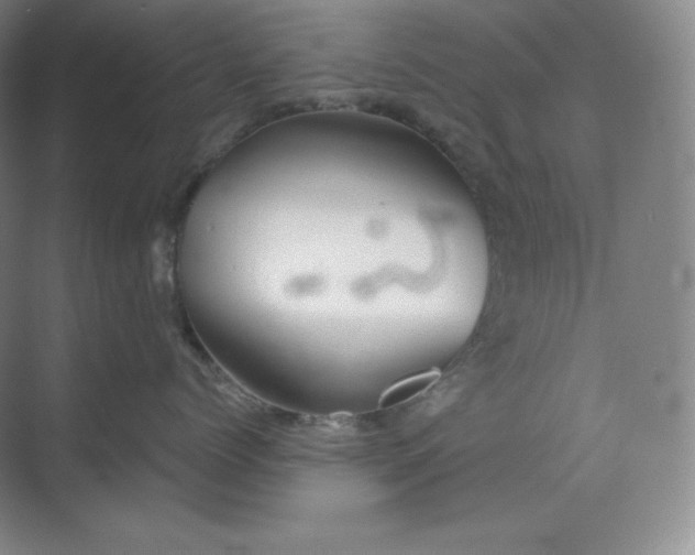 X0000068820768200605191833