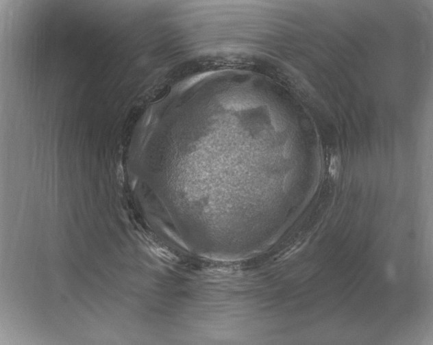 X0000068820771200605191832