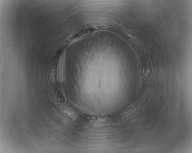 X0000068820772200605191832