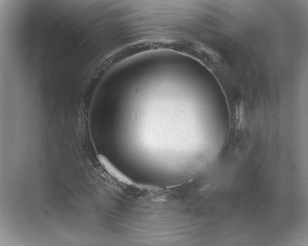 X0000068820773200605191832