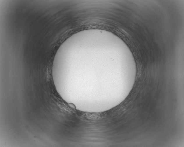 X0000068820774200605191832