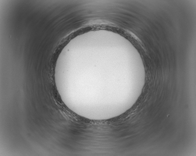 X0000068820775200605191832