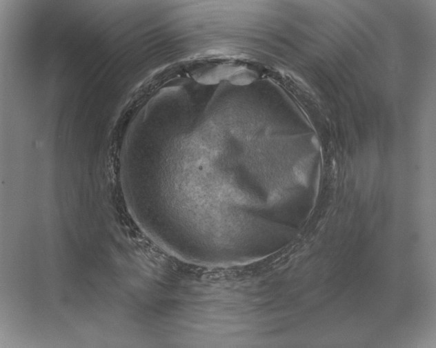 X0000068820776200605191832