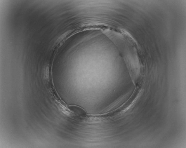 X0000068820777200605191832