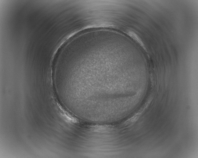 X0000068820781200605191832