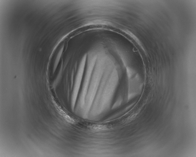 X0000068820783200605191832