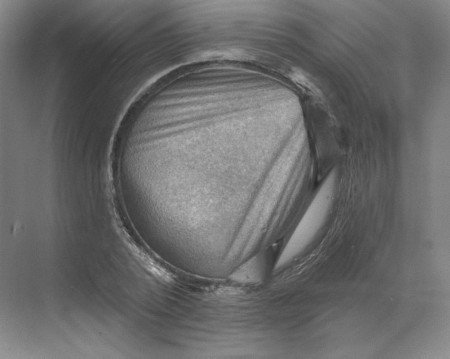 X0000068820784200605191832