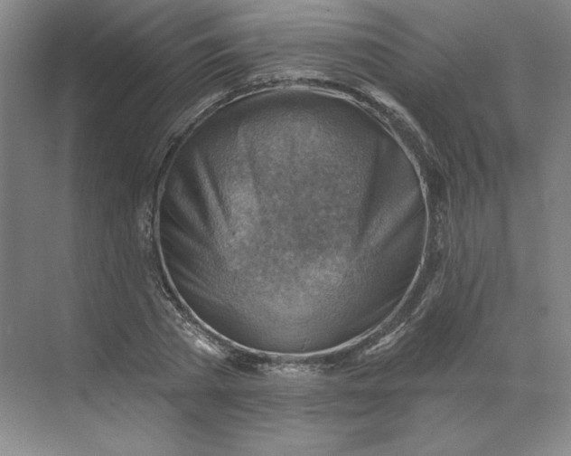 X0000068820785200605191832