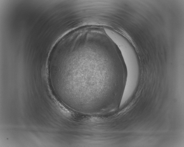 X0000068820787200605191832