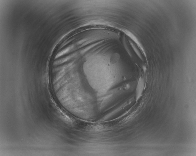 X0000068820791200605191832