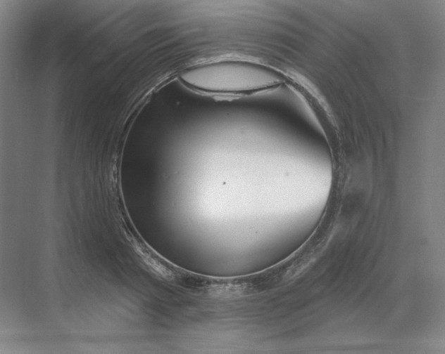 X0000068820793200605191832