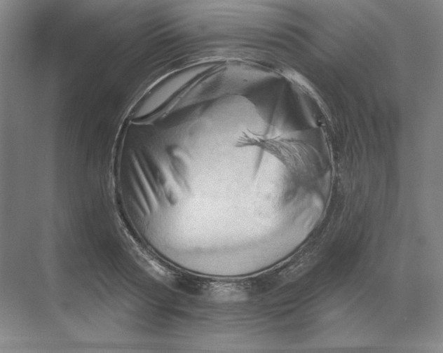 X0000068820794200605191832