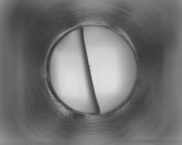 X0000068820795200605191832