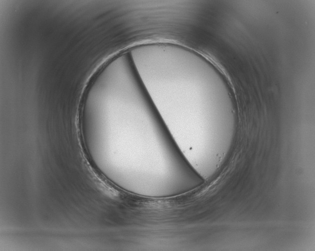 X0000068820797200605191832