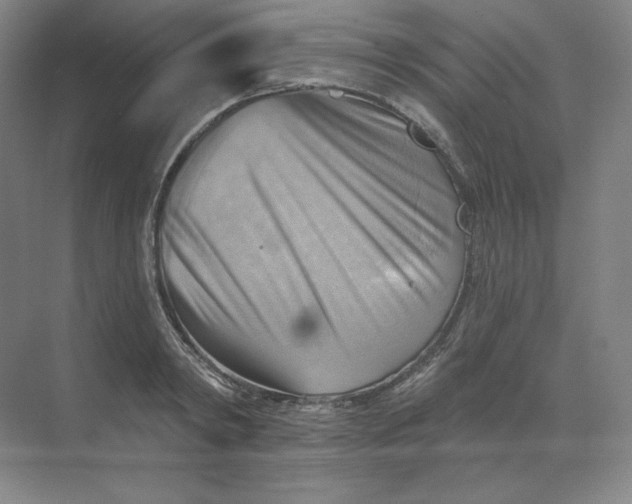 X0000068820798200605191832