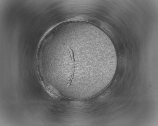 X0000068820800200605191832