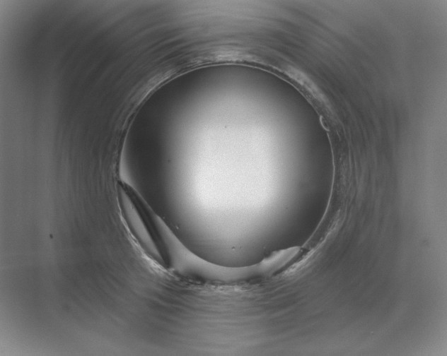 X0000068820801200605191832