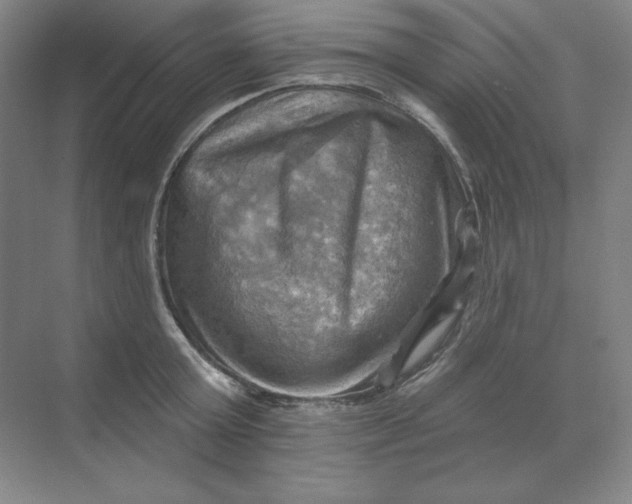 X0000068820803200605191832