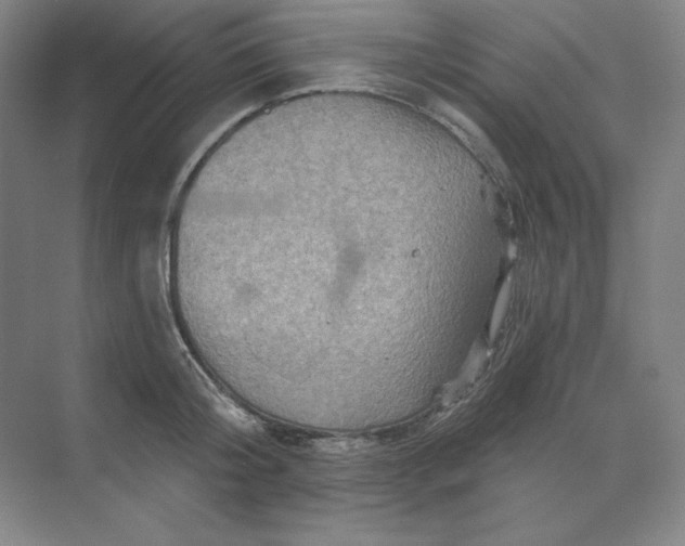 X0000068820804200605191831