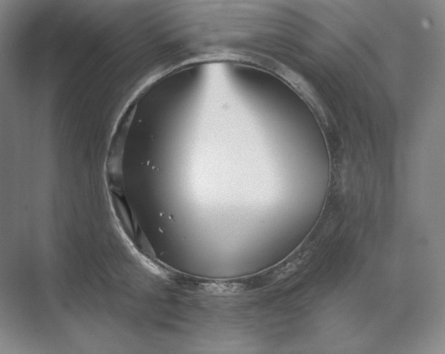 X0000068820805200605191831