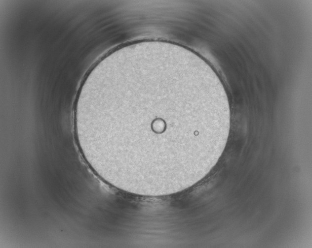 X0000068820807200605191831