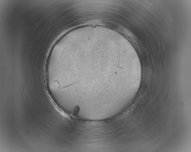 X0000068820808200605191831