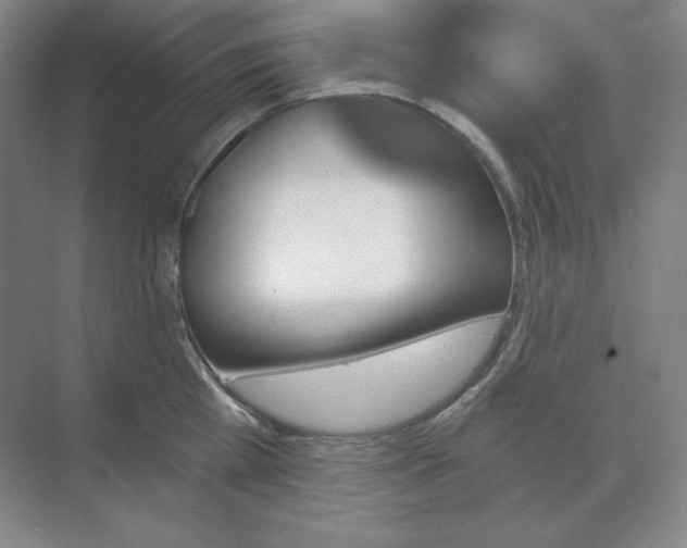 X0000068820809200605191831