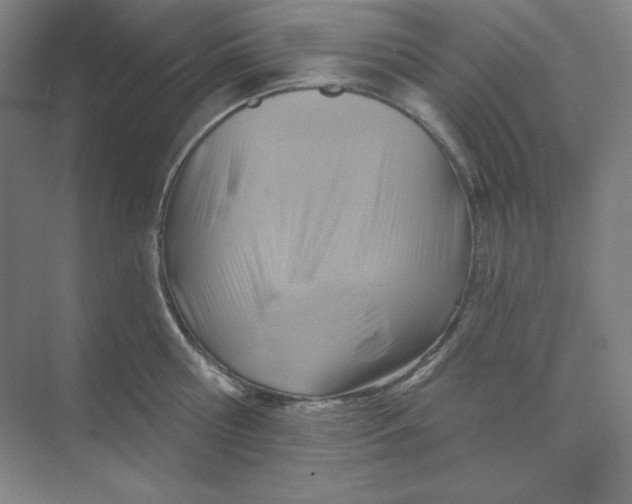 X0000068820810200605191831