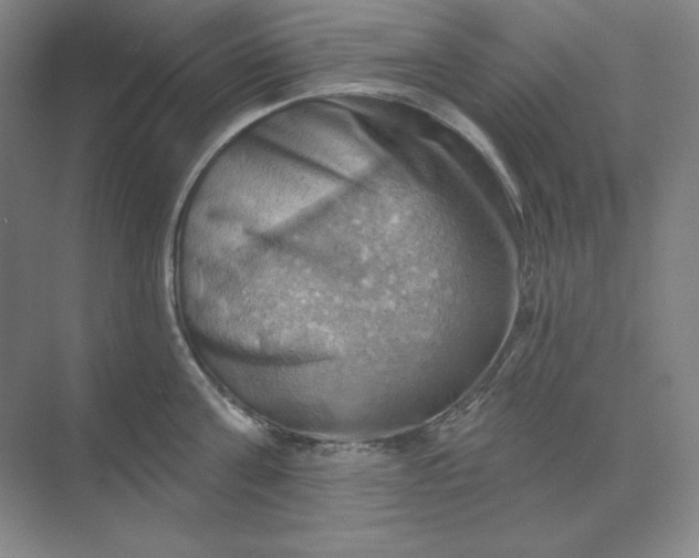 X0000068820811200605191831