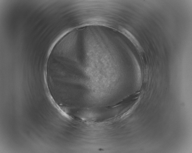 X0000068820812200605191831