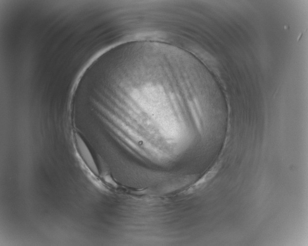 X0000068820816200605191831