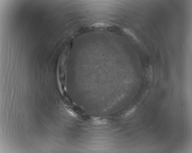 X0000068820818200605191830