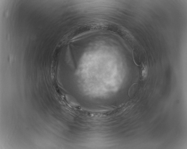 X0000068820819200605191831