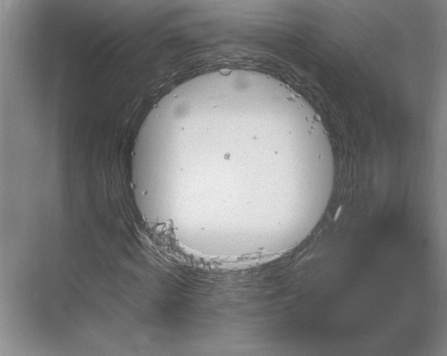 X0000068820820200605191831