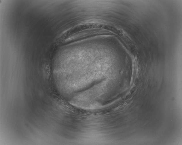 X0000068820821200605191831