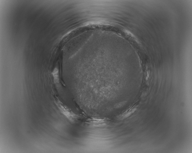 X0000068820822200605191831