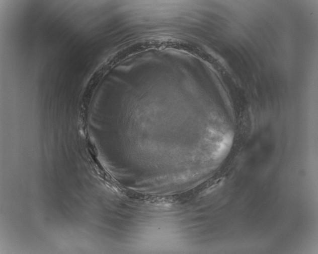 X0000068820823200605191831