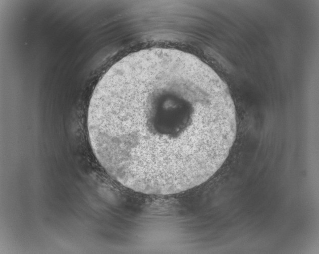 X0000068820824200605191831