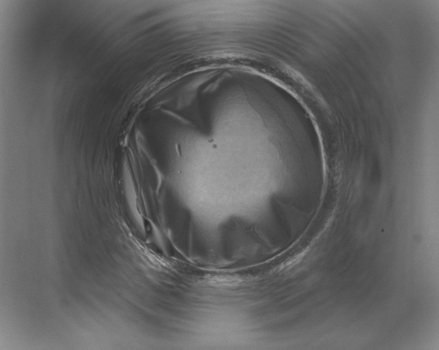 X0000068820825200605191831