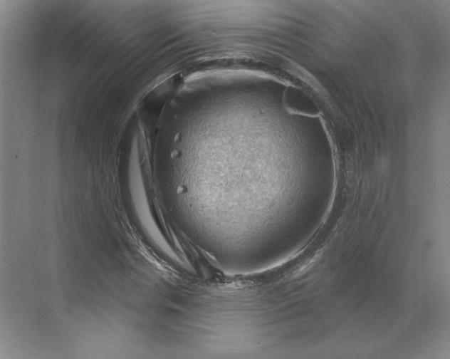 X0000068820826200605191831